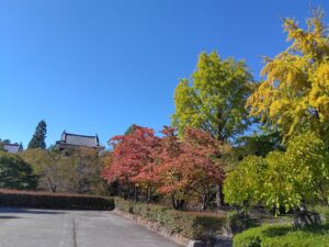 上田城の紅葉