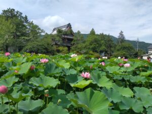 信濃国分寺